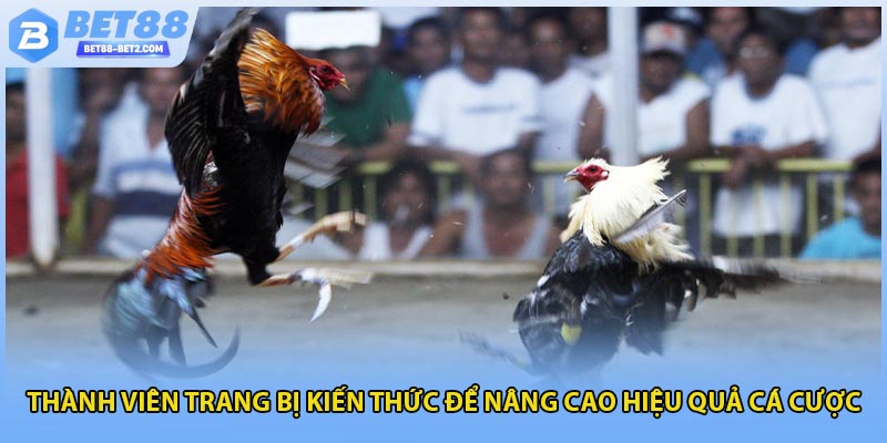 Thành viên trang bị kiến thức để nâng cao hiệu quả cá cược